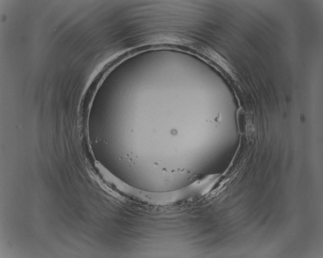 X0000067831116200604271547