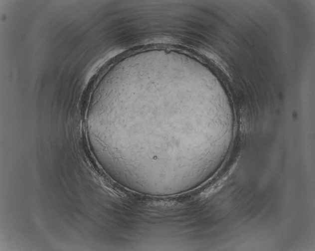 X0000067831117200604271547