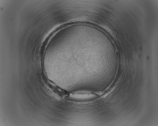 X0000067831118200604271547