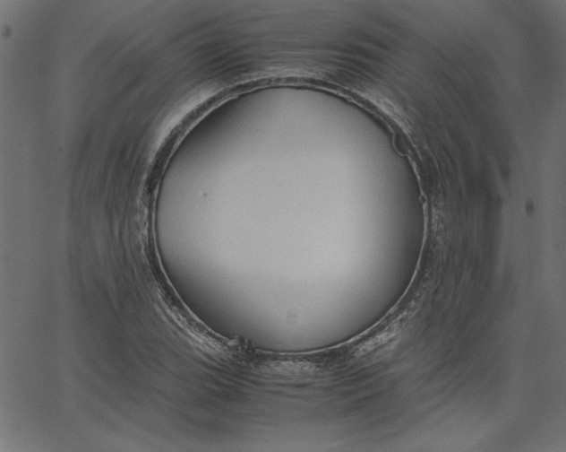 X0000067831119200604271547