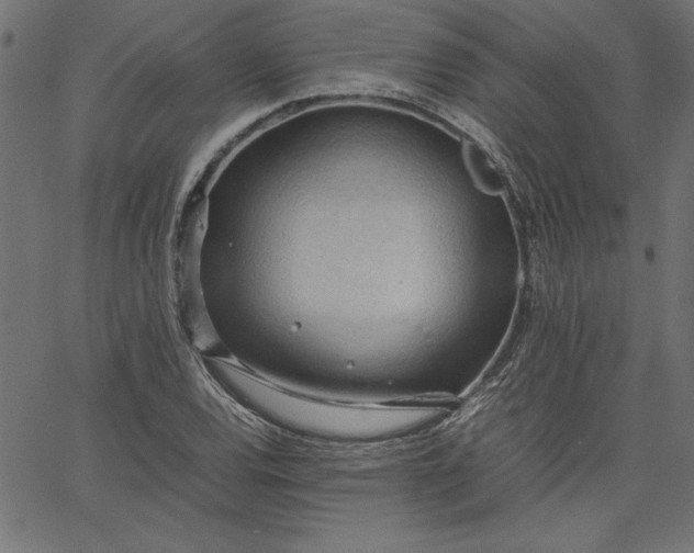 X0000067831120200604271547