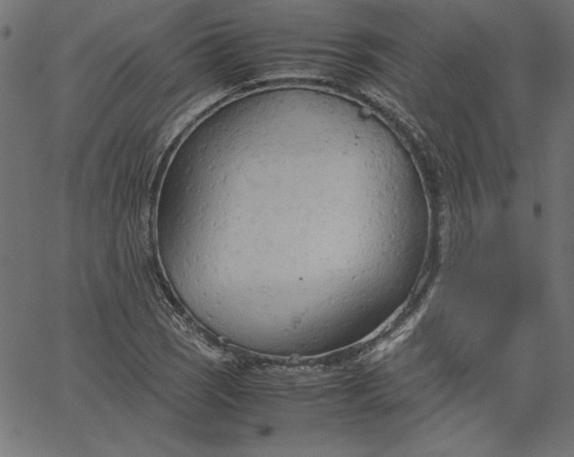 X0000067831121200604271547