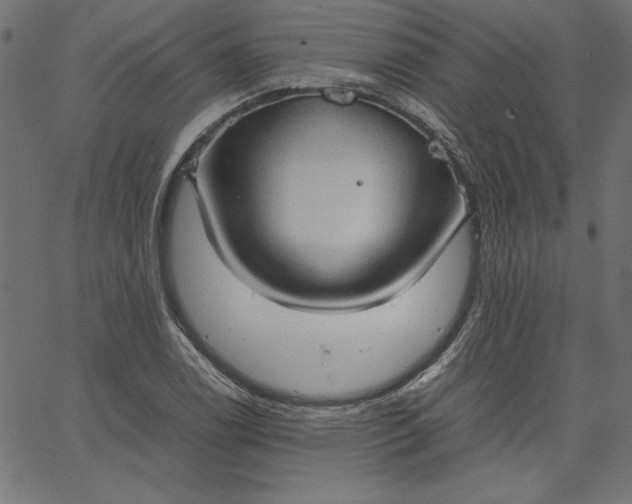 X0000067831122200604271547