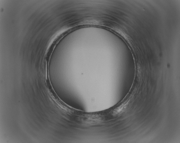 X0000067831123200604271547