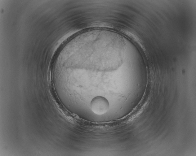 X0000067831125200604271547