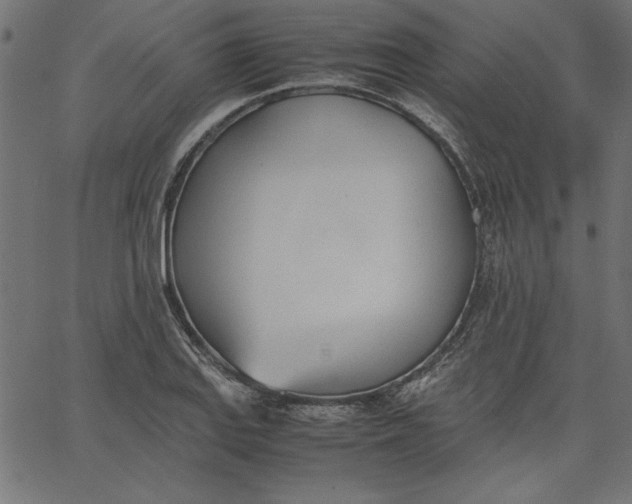 X0000067831127200604271547