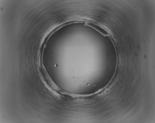 X0000067831128200604271547