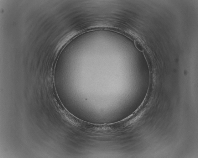 X0000067831129200604271547