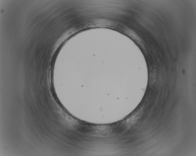 X0000067831130200604271547