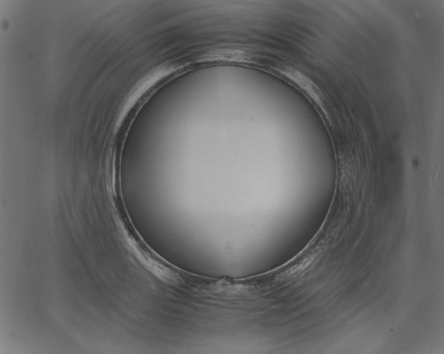 X0000067831131200604271547