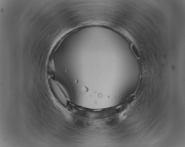 X0000067831132200604271547