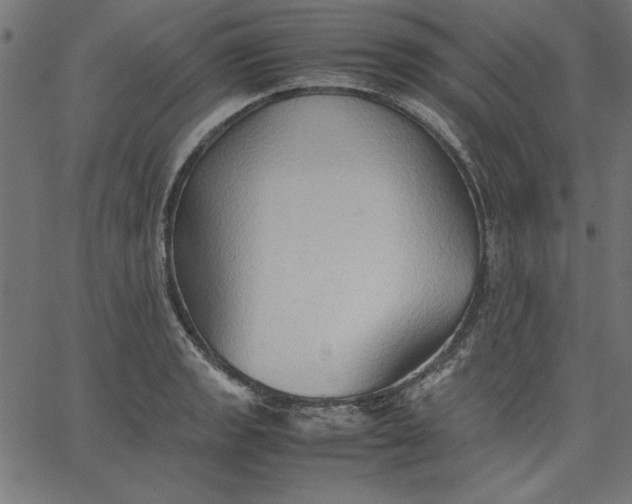 X0000067831133200604271547