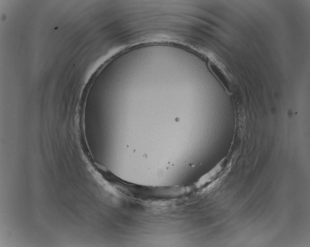 X0000067831134200604271547