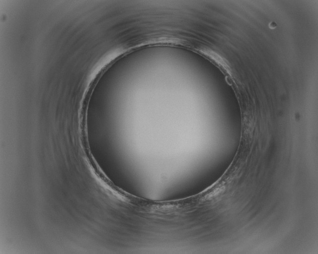 X0000067831135200604271547