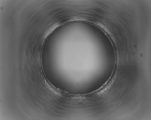 X0000067831137200604271548