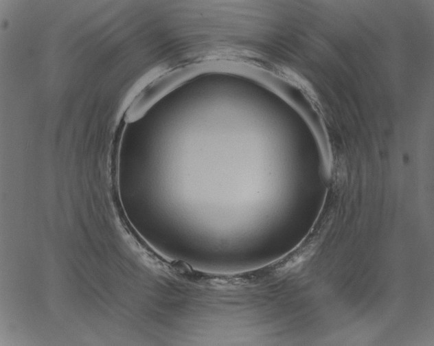 X0000067831138200604271548