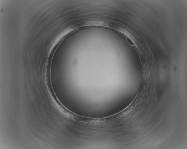 X0000067831139200604271548