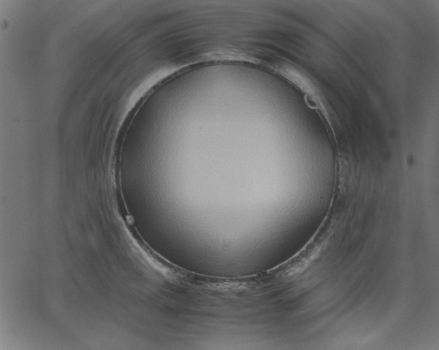 X0000067831141200604271548