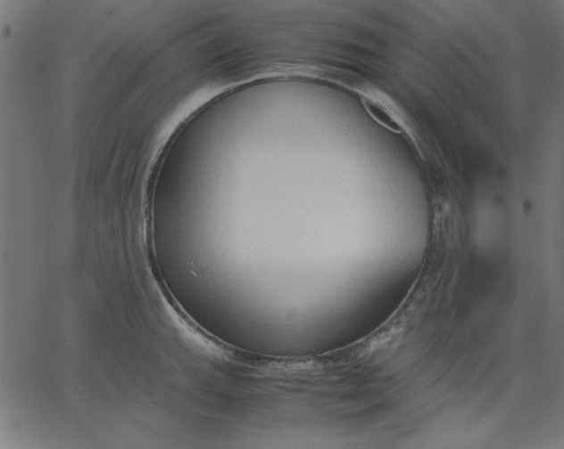 X0000067831143200604271548