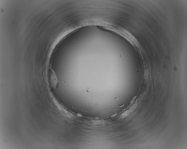 X0000067831144200604271548