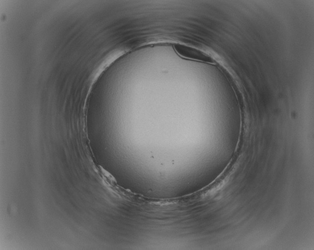 X0000067831145200604271548