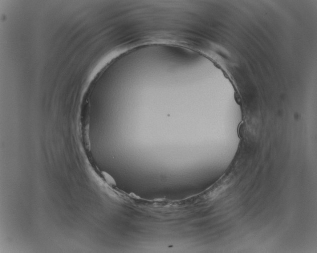 X0000067831147200604271548