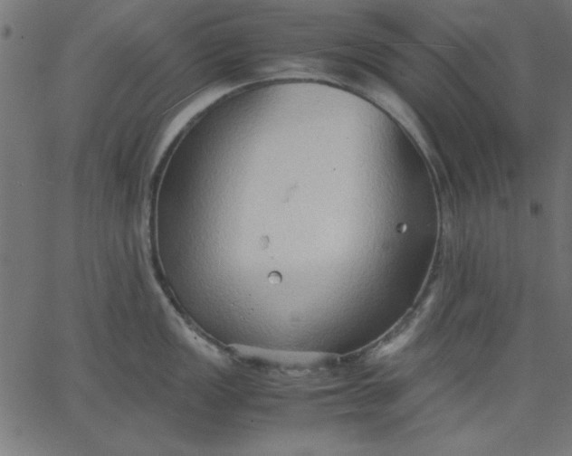 X0000067831149200604271548