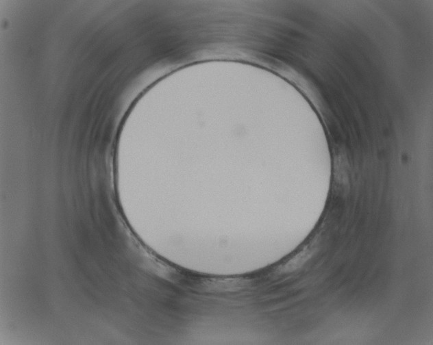 X0000067831150200604271548