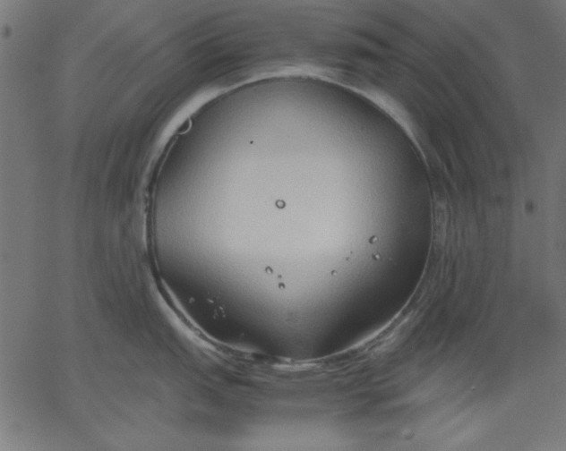 X0000067831151200604271548