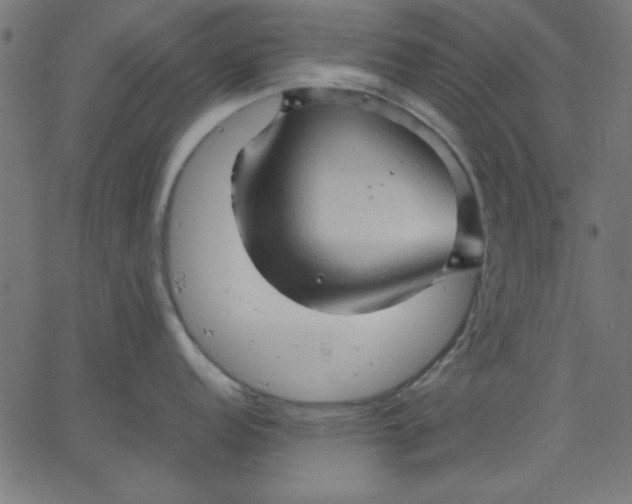 X0000067831152200604271548