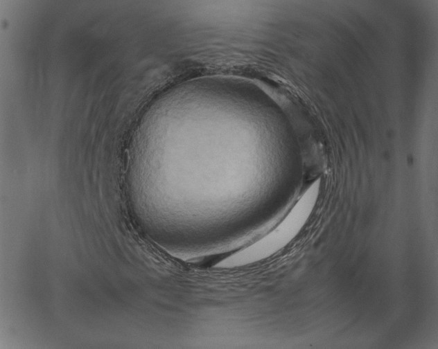 X0000067831153200604271547