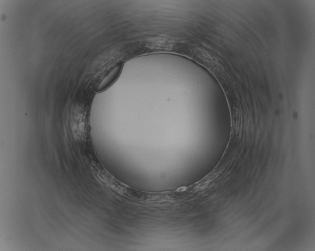 X0000067831154200604271547