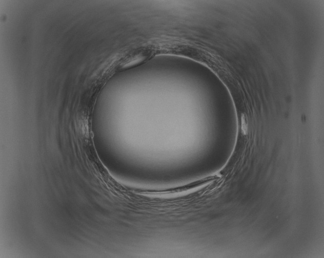 X0000067831155200604271547