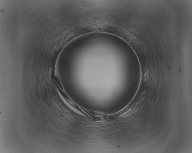 X0000067831156200604271547