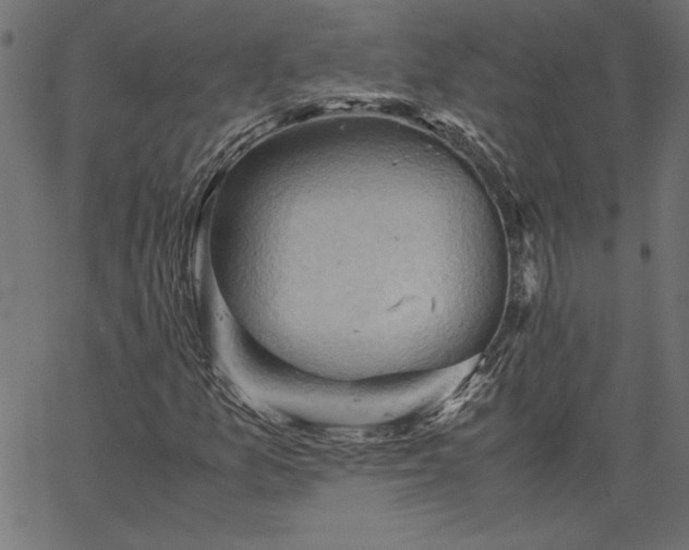 X0000067831157200604271547