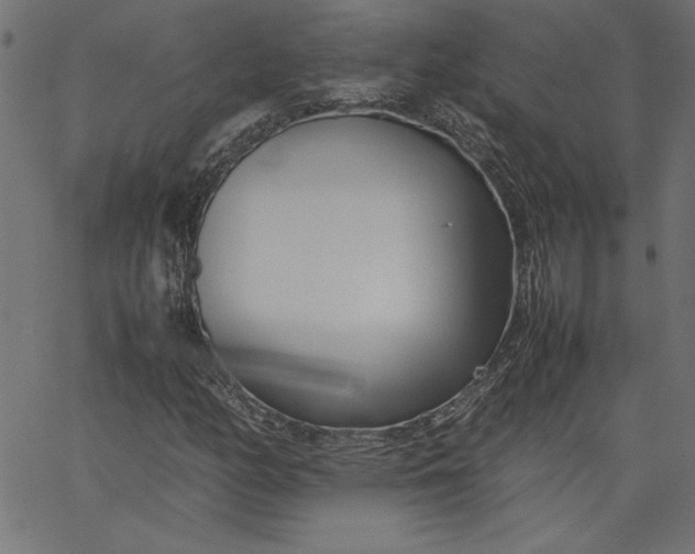 X0000067831158200604271547