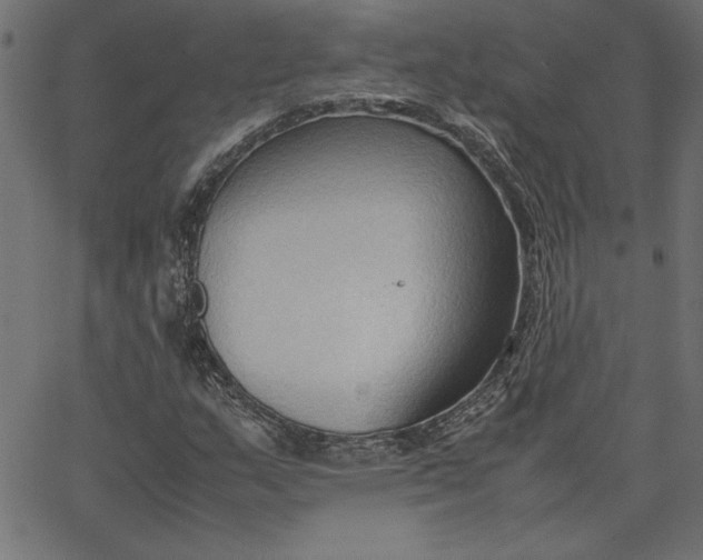 X0000067831159200604271547