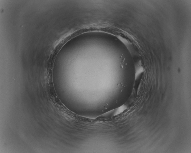 X0000067831160200604271547