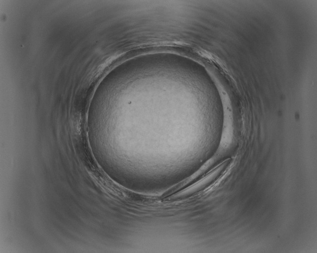 X0000067831161200604271547