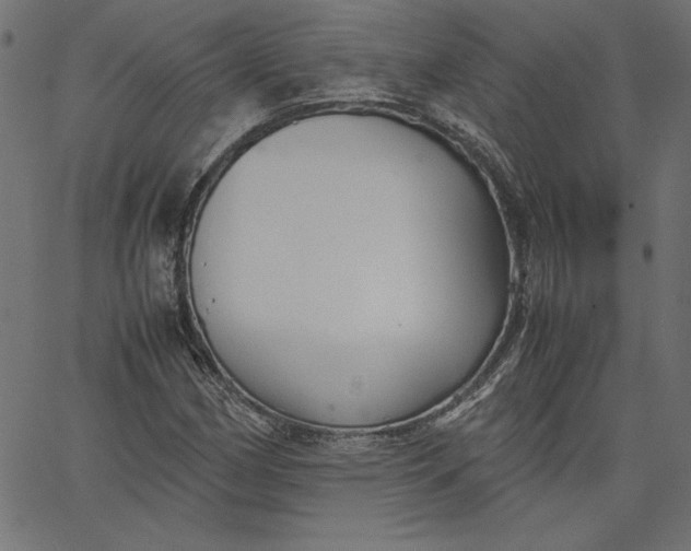 X0000067831162200604271547