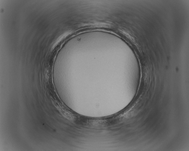 X0000067831163200604271547