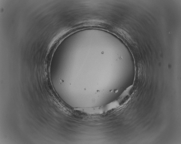 X0000067831164200604271547