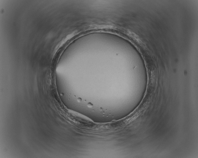 X0000067831165200604271547