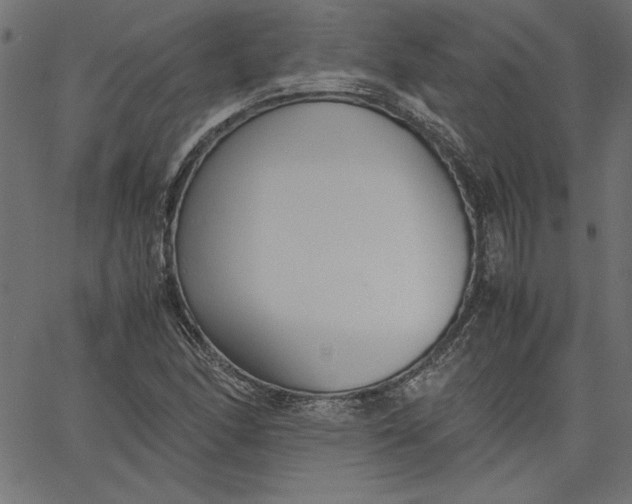 X0000067831166200604271547