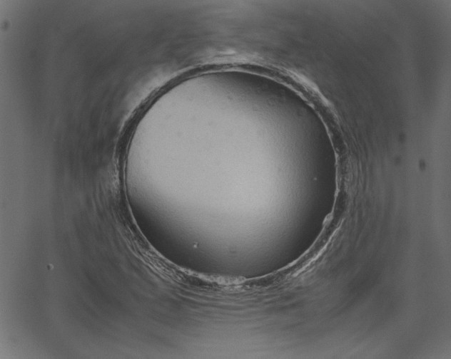 X0000067831167200604271547