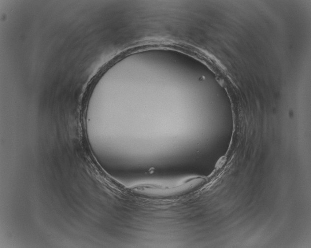 X0000067831168200604271547