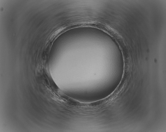 X0000067831169200604271547