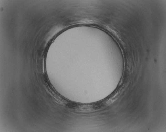 X0000067831171200604271547