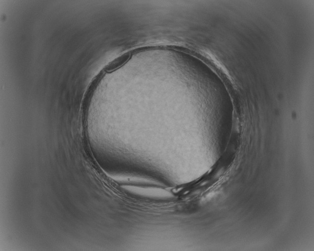 X0000067831173200604271547