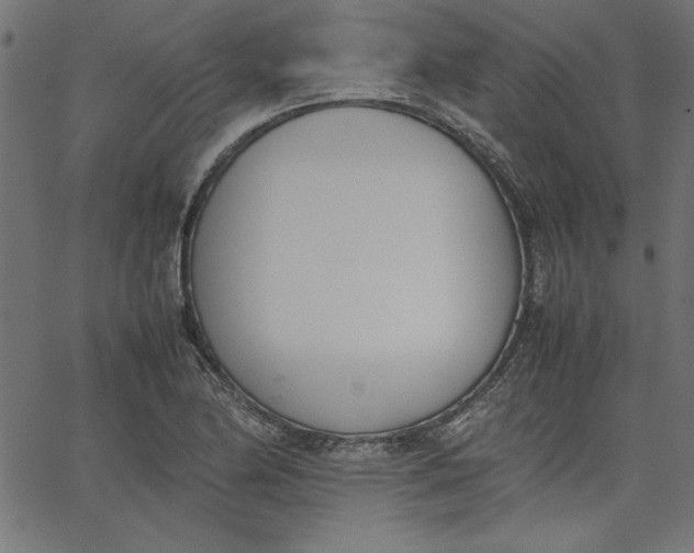 X0000067831174200604271547